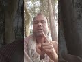 আমার হৃদয় একটা আয়না Bangla music funny comedy 2025
