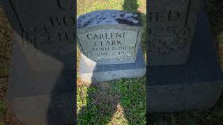 Albert Lewis Clark           November 8, 1920-January 7, 2009 #familytree #genealogyclips #graves
