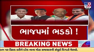BJP high command disappointed by internal protests in Amreli, Junagadh, will take a strict decision after the results Tv9Gujarati
