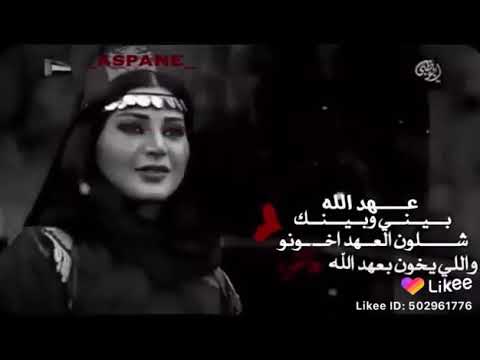 ١١ تموز ٢٠٢٠ 4