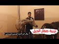 ‏تربية صغار الخيل وهل هي الخيار الصحيح للمبتدئين ؟!