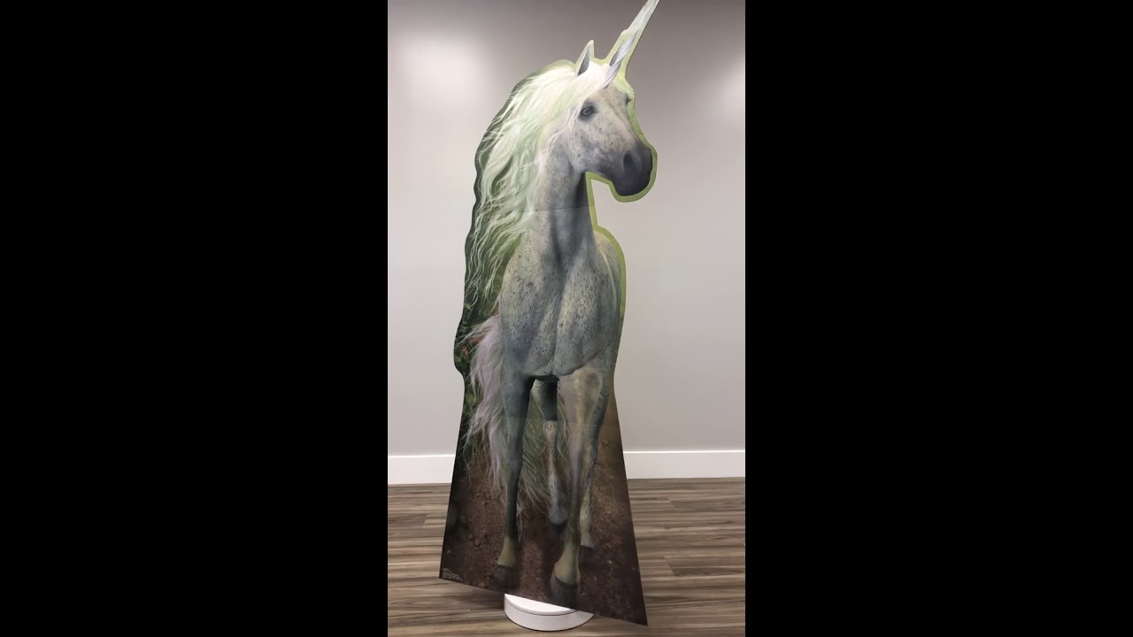 Unicorn LifeSize Cardboard Cutout YouTube