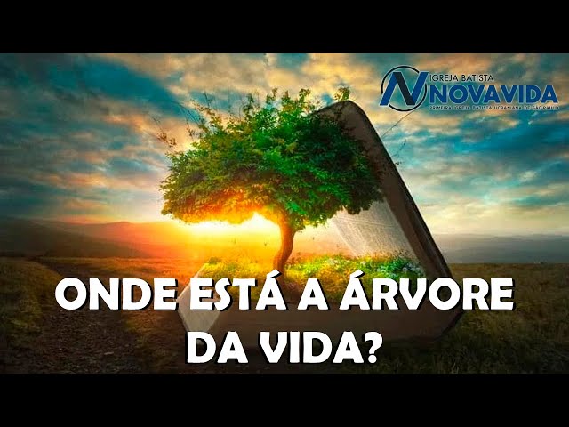 ONDE ESTÁ A ÁRVORE DA VIDA?  -   DE PAPO COM A BÍBLIA EP. 39