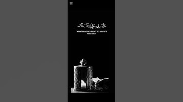 وَإِذْ قَالَ اللَّهُ يَا عِيسَى ابْنَ مَرْيَمَ | تلاوة خاشعة جدًا - ياسر الدوسري