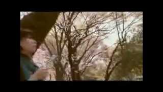 いつもいつもケンカばかり