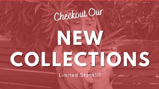 My own shopping app and website launched screenshot 3