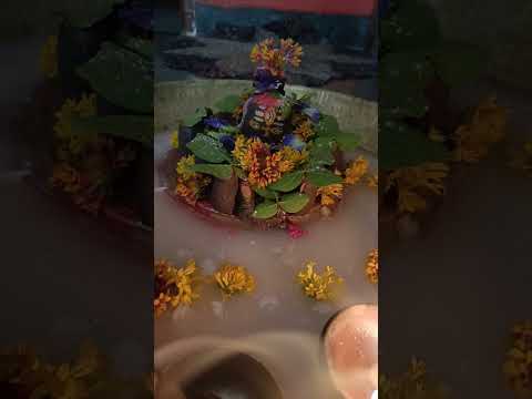 ॐ नमः शिवाय हर हर महादेव