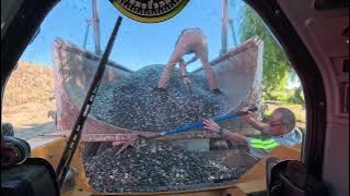 Emergency Call to the Scales