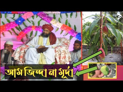 Hayat un Nabi peace be upon him/ Pir Syed sah Muhammad Ali Dastegir
