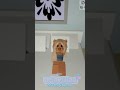 Lass mich doch schlafen 😴 #roblox #horror#scary #fyp #goviral #crazy #video #ytshorts