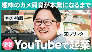 Download Lagu [A day in the life] Turning turtle breeding into a full-time job! How to increase sales beyond ju... MP3
