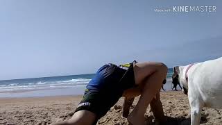 Montero Bjj Gimnástica Naturalanimal Workout