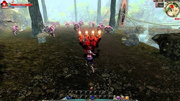 C9 Skillbook Showcase - Shine Elementalist - Ice Spikes & Salamander