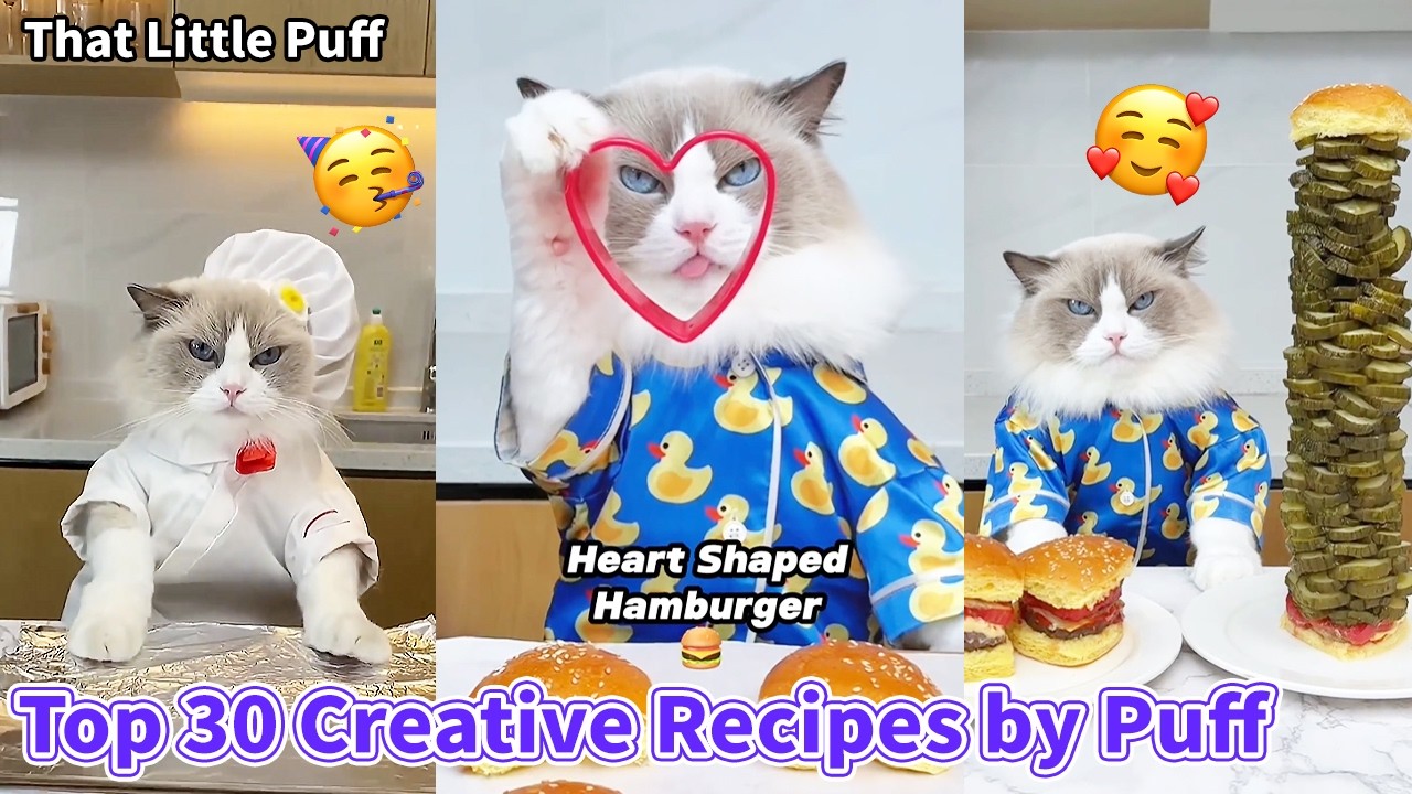 Top 30 Creative Recipes by Puff 🐱🍴✨ | That Little Puff