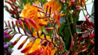CORK FLORIST - Kamla Flowers - SPECIAL OCCASIONS CORK CITY