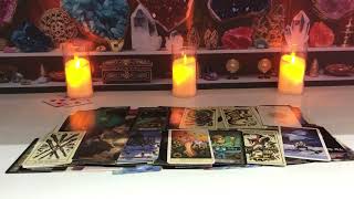 LEO   YOU  NEVER WORK AGAIN AFTER THIS‼️ WELCOME TO THE SOFT LIFE LEO TAROT LOVE READING screenshot 2