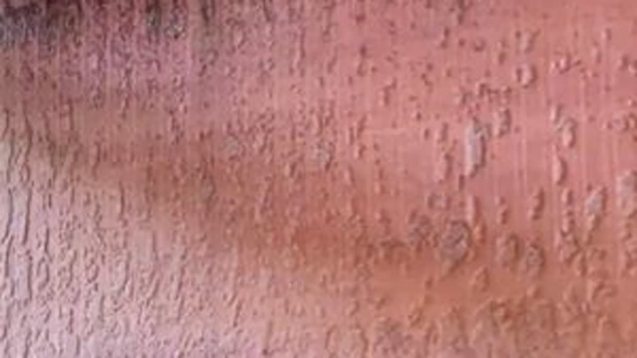 锯切大型红木原木加工成令人满意精美的木板