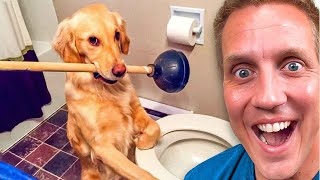 Worlds FUNNIEST Pets!