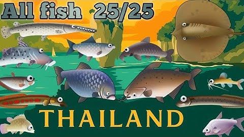 Creatures of the deep Thailand All fish