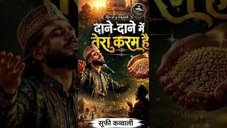 दाने-दाने में तेरा करम है मौला 🤲❤️ | Sufi Status #Shorts