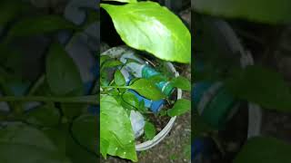 ночные съёмки в конце октября