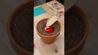 Celebrity How to hide a coin so no one can find it 🪙 #lifehacks #howto Profile