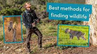 How to find wildlife. My tried and true methods for finding wildlife to photograph