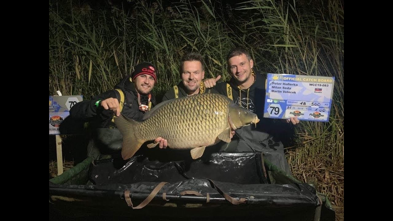 WCC 2019 Lac de Madine Mikbaits & Parysteam YouTube