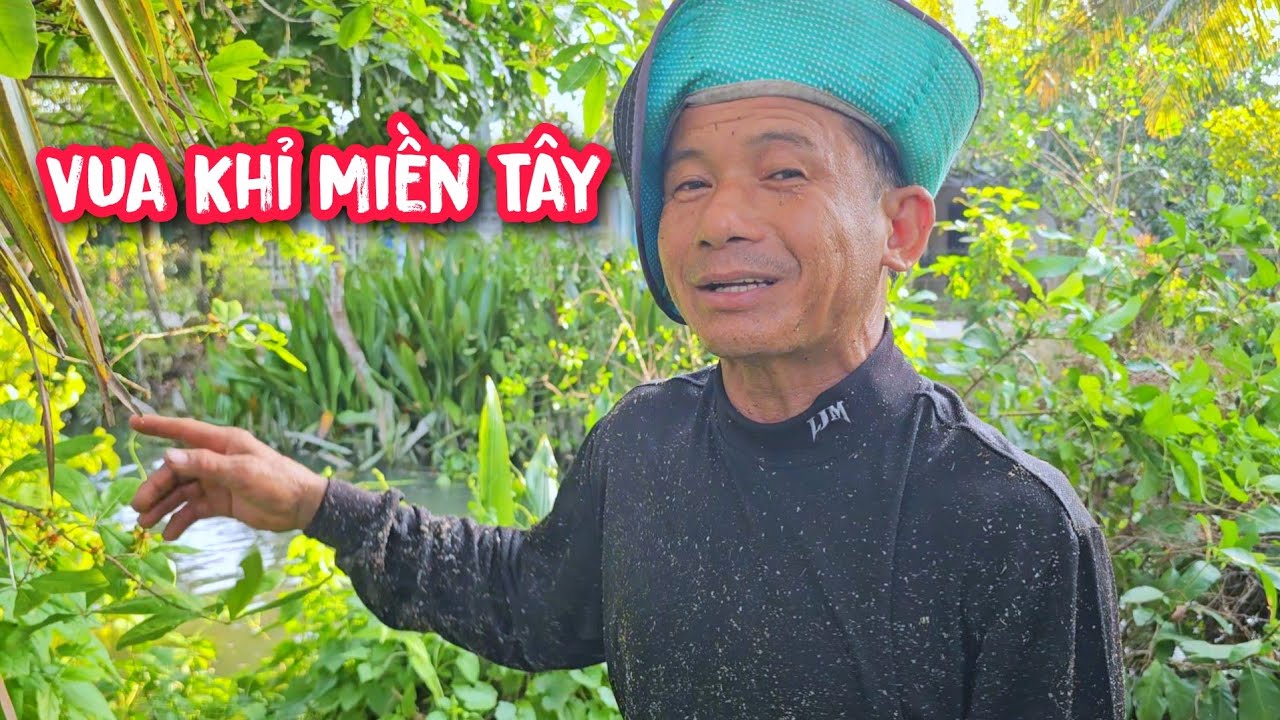 Vua Khỉ cưa hạ cây Gáo Vàng và hai cây Dừa để đắp đập làm cống.