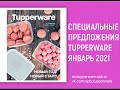 Спецпредложения Tupperware Январь 2021