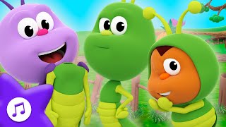 El Grillo Lo-Lo Salta Así Para Bebés Canción Infantil Bichikids
