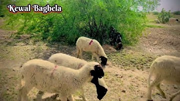 My First Vlog 2025 😍