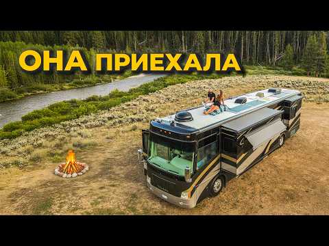 I invited a STRANGER into my campervan to live in the forest.