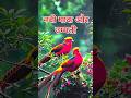 नबी पाक और उम्मती | facts video | facts in Hindi