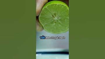 Tóc yếu, rụng nhiều, da đầu nhờn – Hết ngay trong 7 ngày với lá tía tô | Cao Minh Trường