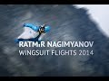 Baseguru wingsuit compilation 2014