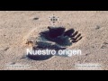 Nuestro origen (Audiolibro completo) Jose Luis Valle