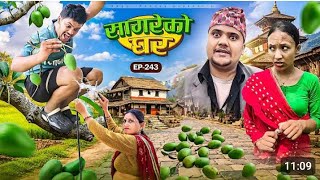 सागरेको घर"sagare ko ghar"॥episode 243॥new nepali comedy serial by sagar pandey॥17 may  2026