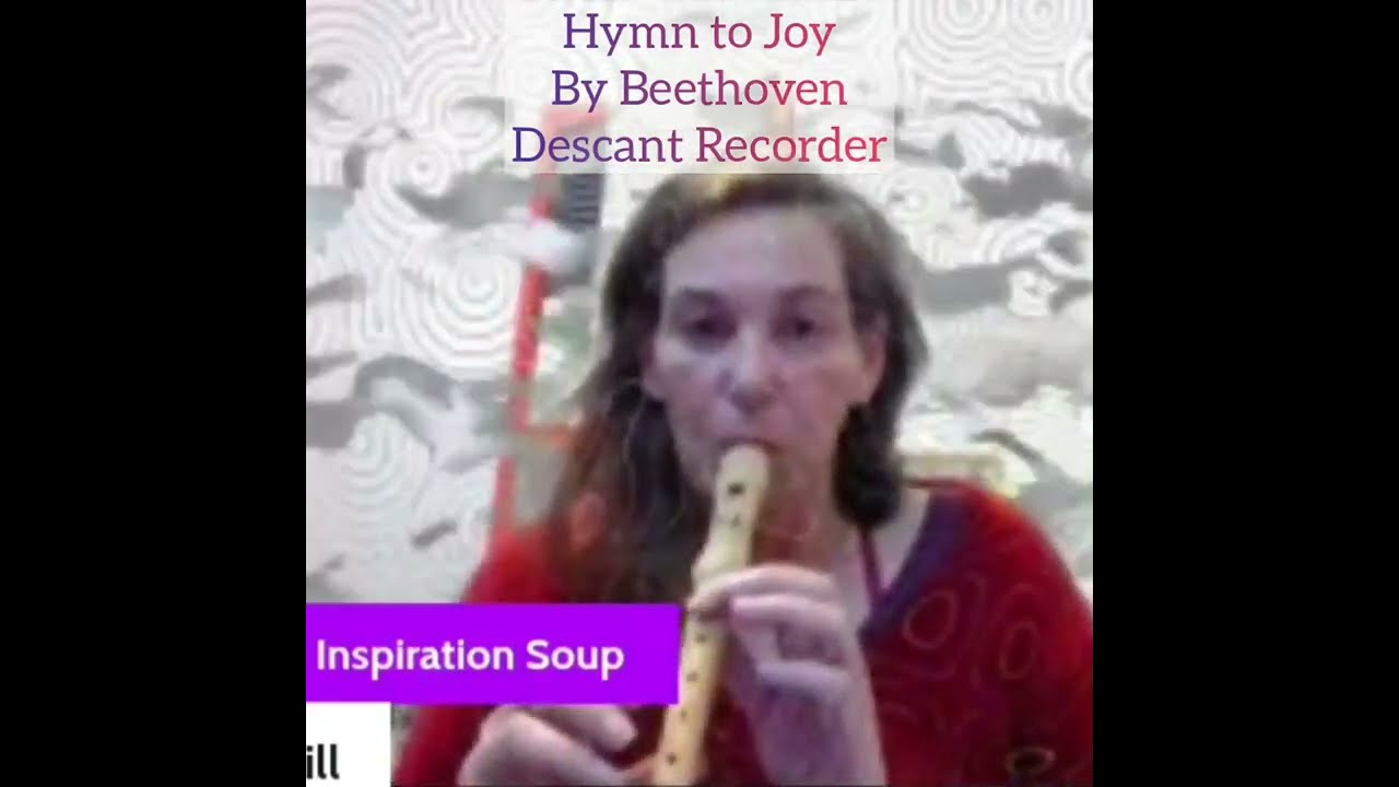 Beethoven Hymn to Joy  on Descant Pearwood Recorder Live Music