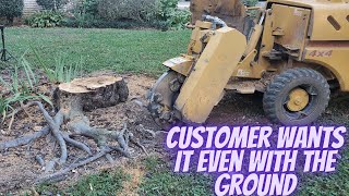 Why Customer Wants Me to Grind Tree Stump Flush with the Ground?