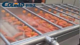 Carrot brush washing machine from Binzhou Colead.