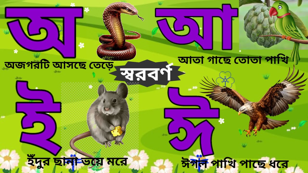 Bangla bornomala sarobarno bangla alphabet for
