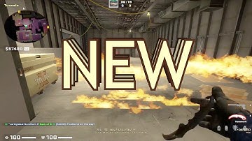 Vertigo CT Molly Bug (NEW August 2022)