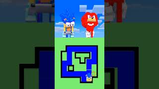 MAZE CHALLENGE With Sonic And Knuckles