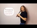 Генералы песчаных карьеров на блокфлейте