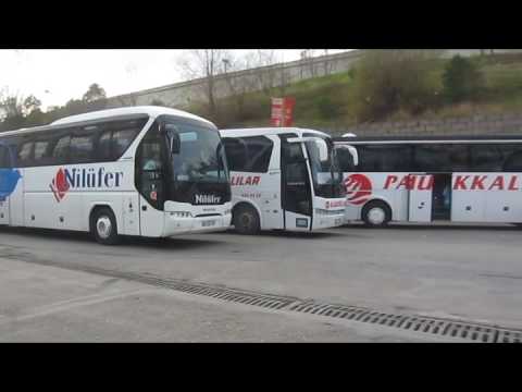 Esenler Istanbul bus station Turkey Mercedes benz,Man Fortuna,Travego,Setra,and Temsa