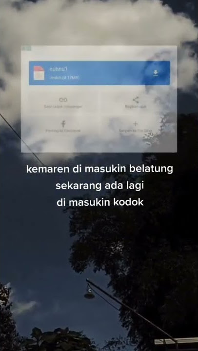 VIRAL DI MASUKIN KODOK - VIRAL TIK TOK