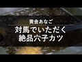 黄金あなご　対馬でいただく絶品穴子カツ