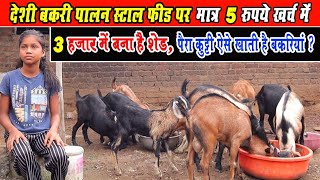 goatfarming। देशी बकरी पालन स्टाल फीड पर ।deshi bakri palan stall feed par।Low cost Goat Farm shed