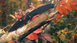 Spyderco Resilience - стильный складной китайчонок =)